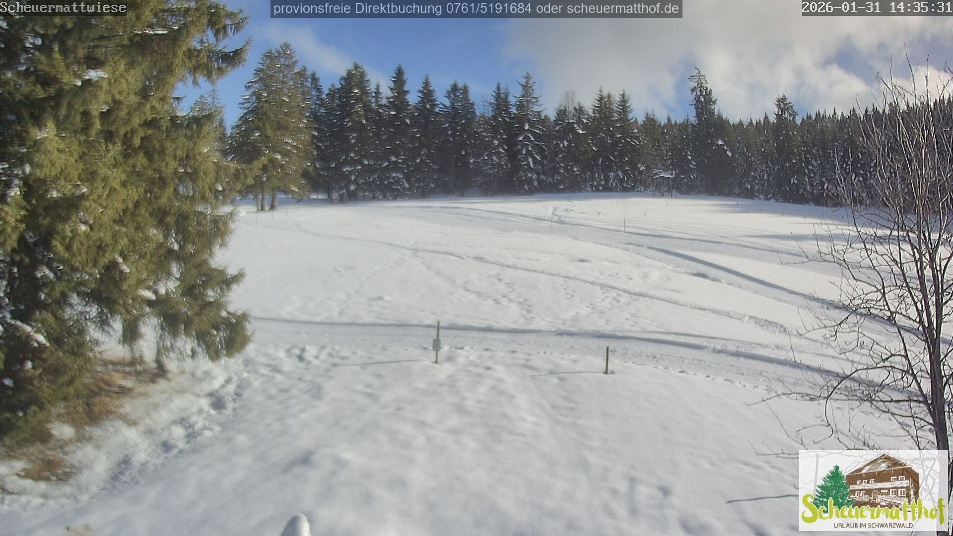 Archiv Foto Webcam Todtnauberg - Scheuermattwiese