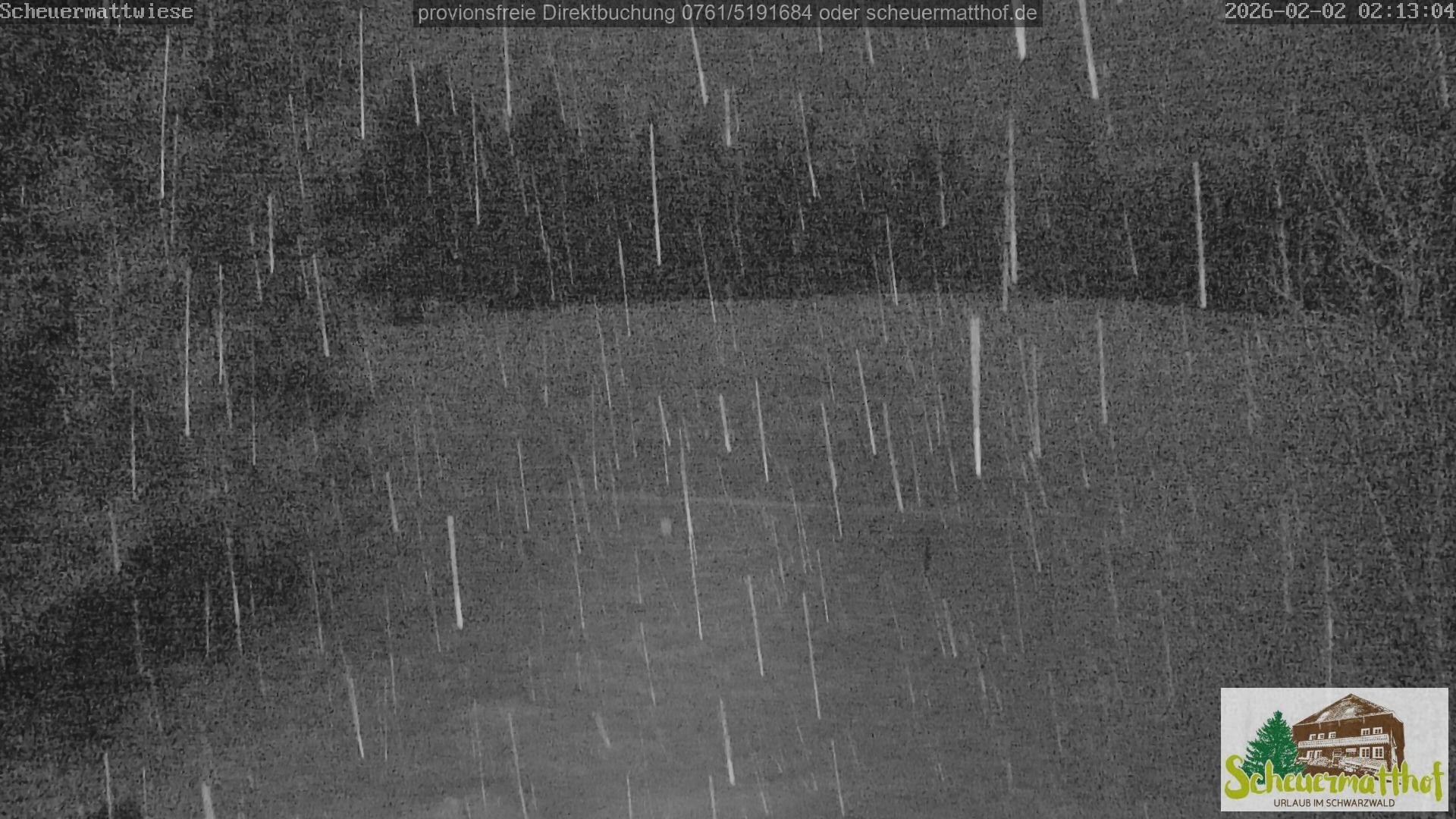 Archiv Foto Webcam Todtnauberg - Scheuermattwiese