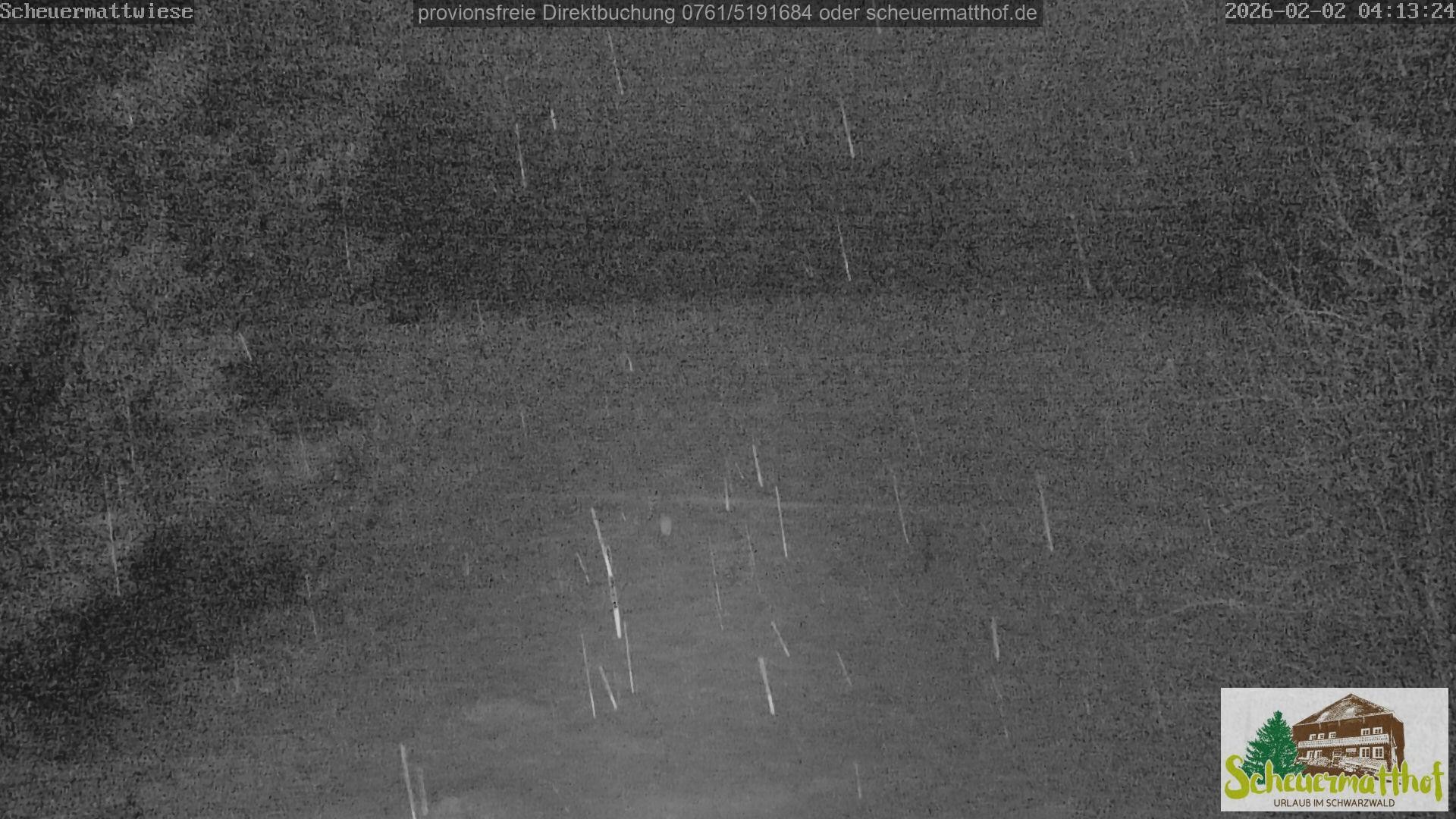 Archiv Foto Webcam Todtnauberg - Scheuermattwiese