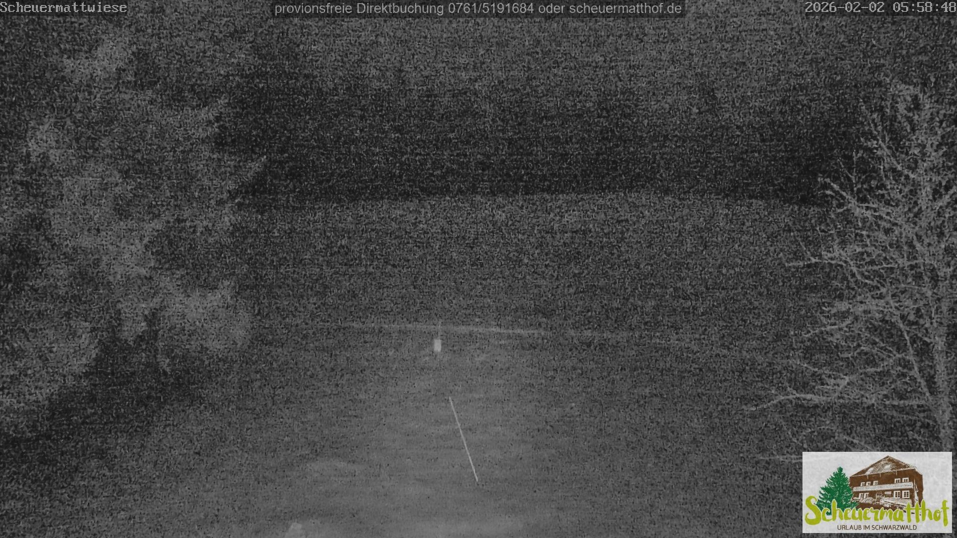 Archiv Foto Webcam Todtnauberg - Scheuermattwiese