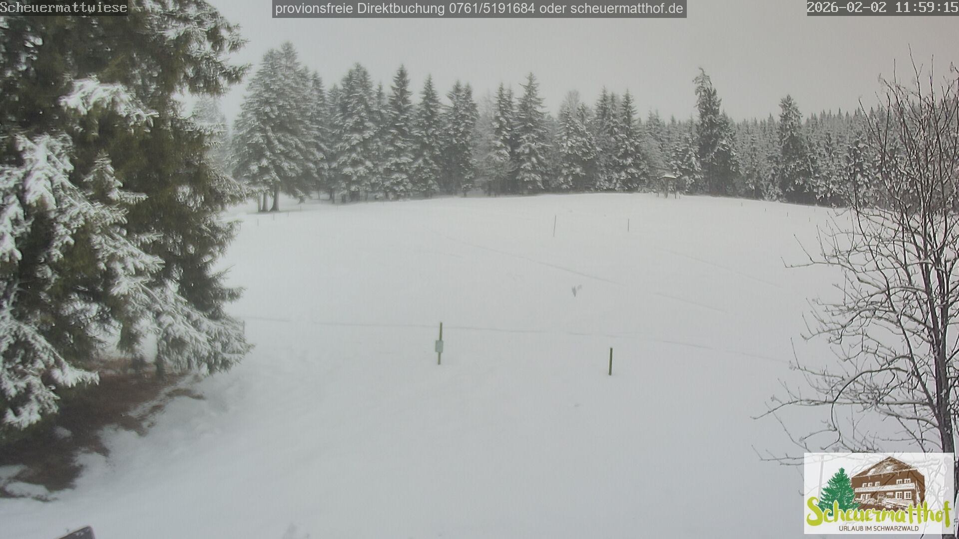 Archiv Foto Webcam Todtnauberg - Scheuermattwiese