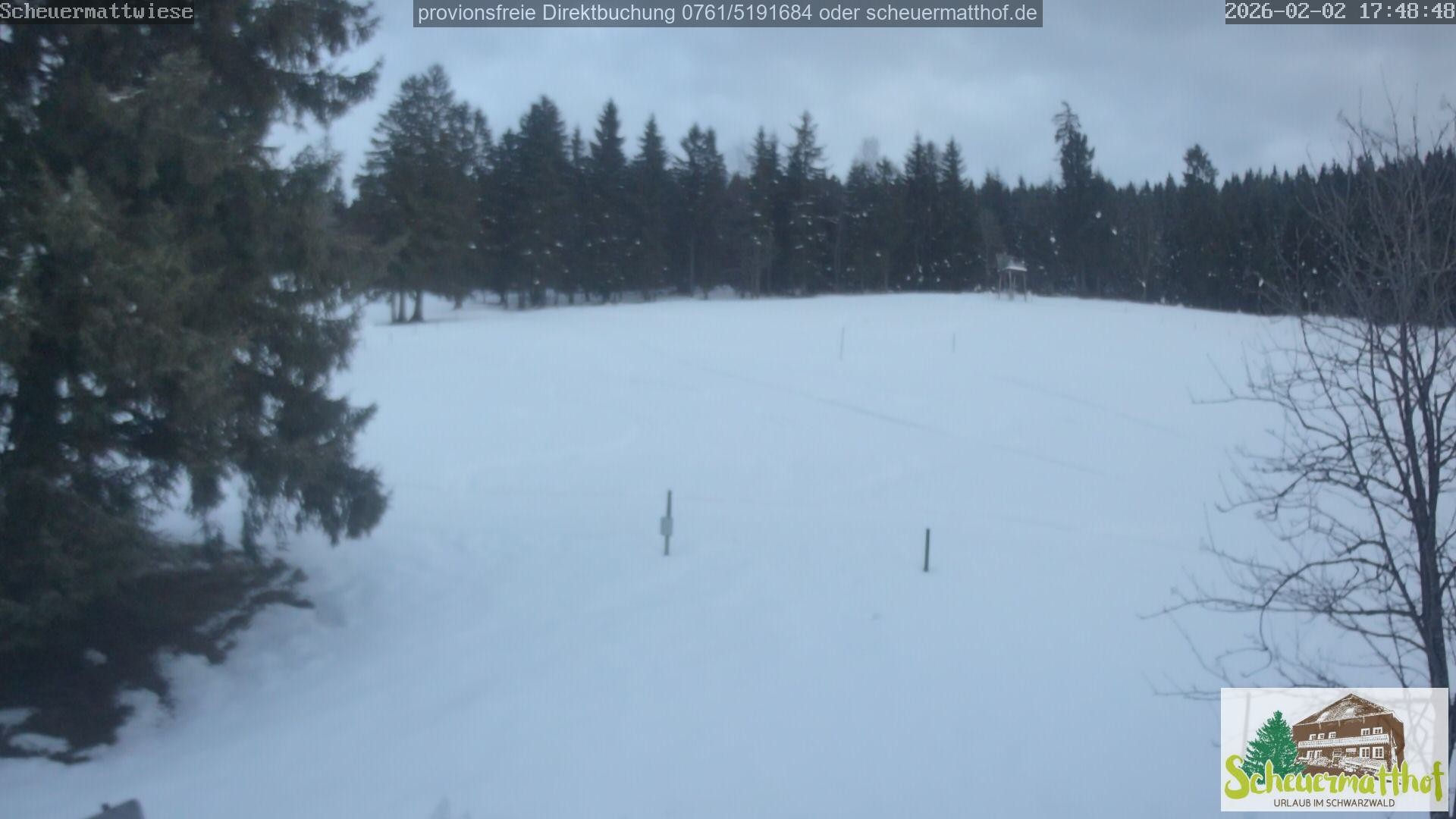 Archiv Foto Webcam Todtnauberg - Scheuermattwiese