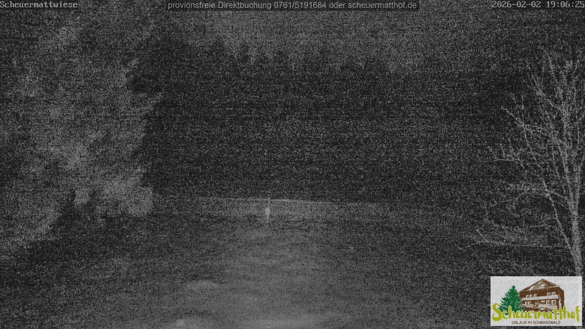 Archiv Foto Webcam Todtnauberg - Scheuermattwiese