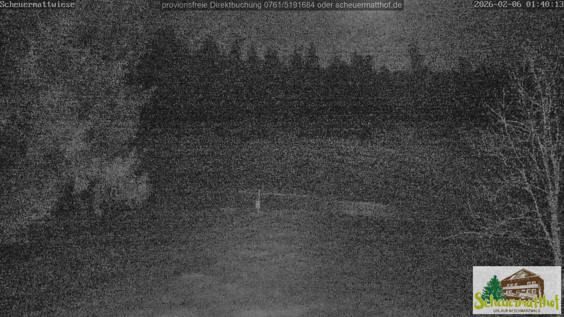 Archiv Foto Webcam Todtnauberg - Scheuermattwiese