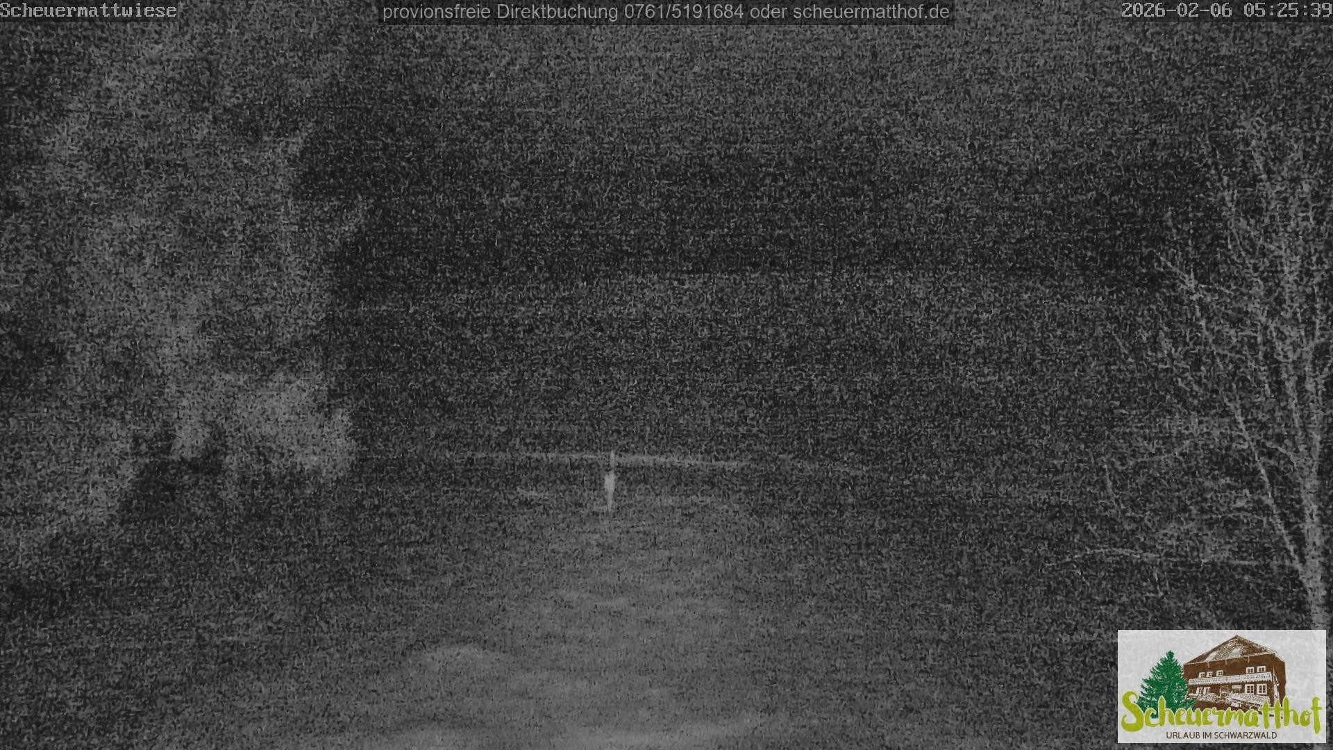 Archiv Foto Webcam Todtnauberg - Scheuermattwiese