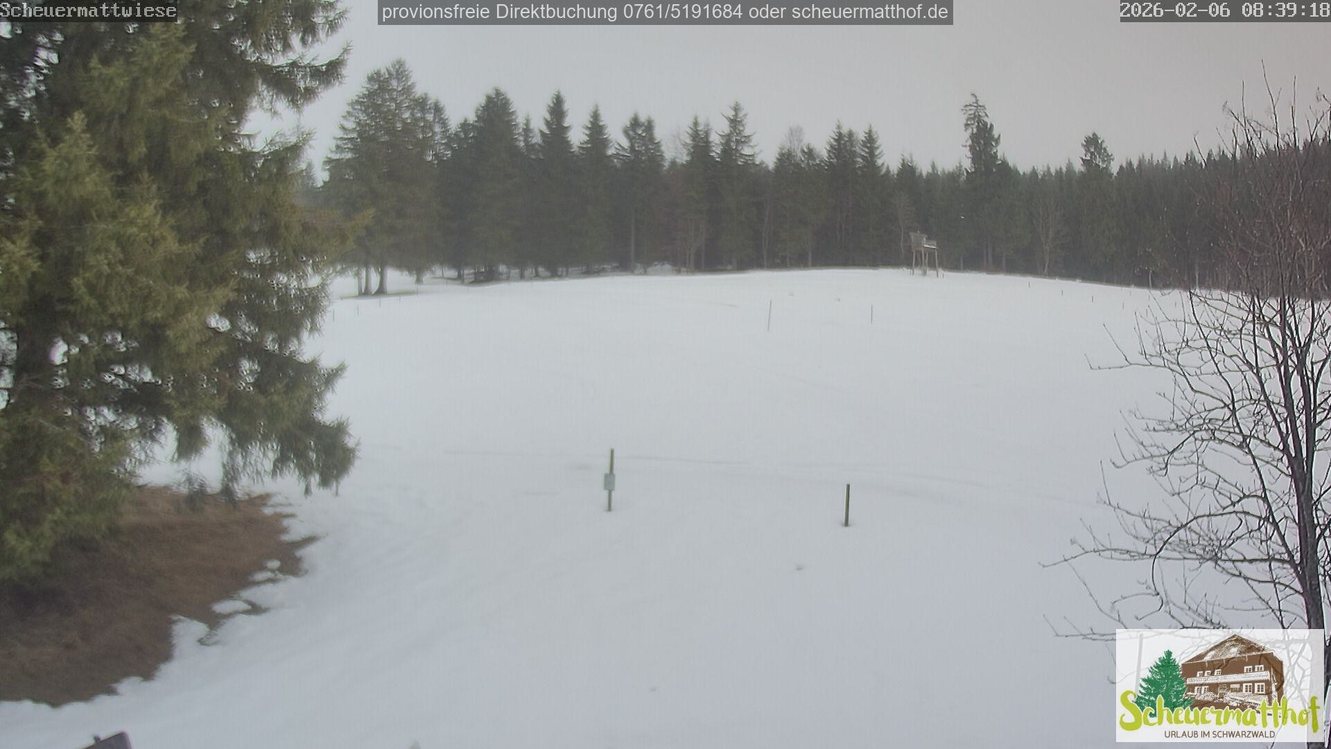 Archiv Foto Webcam Todtnauberg - Scheuermattwiese