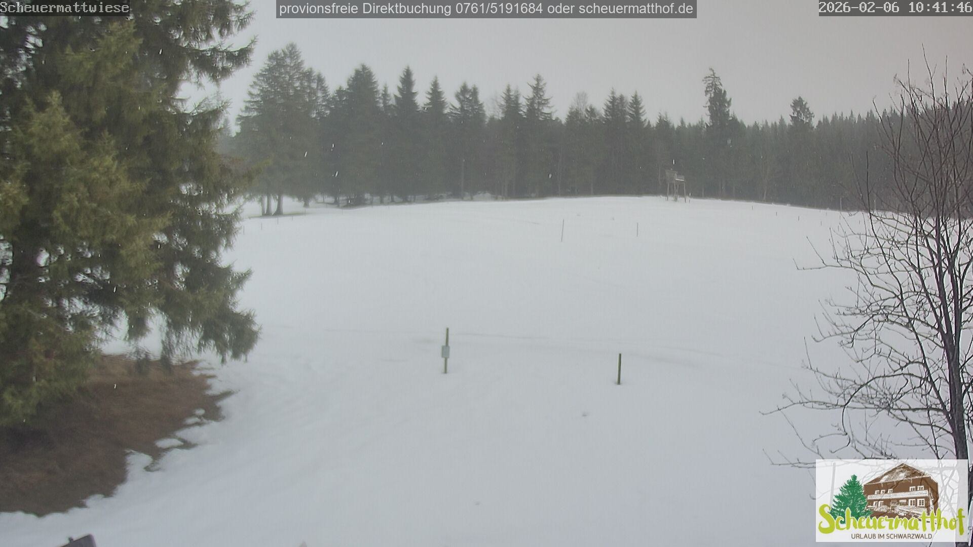 Archiv Foto Webcam Todtnauberg - Scheuermattwiese