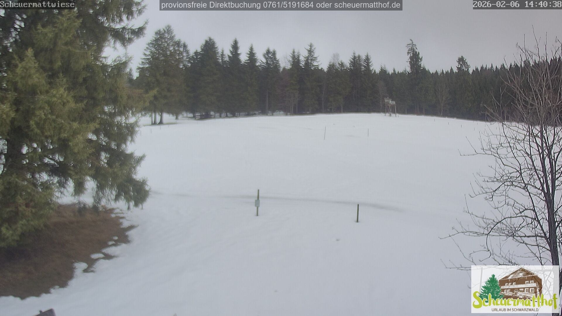 Archiv Foto Webcam Todtnauberg - Scheuermattwiese