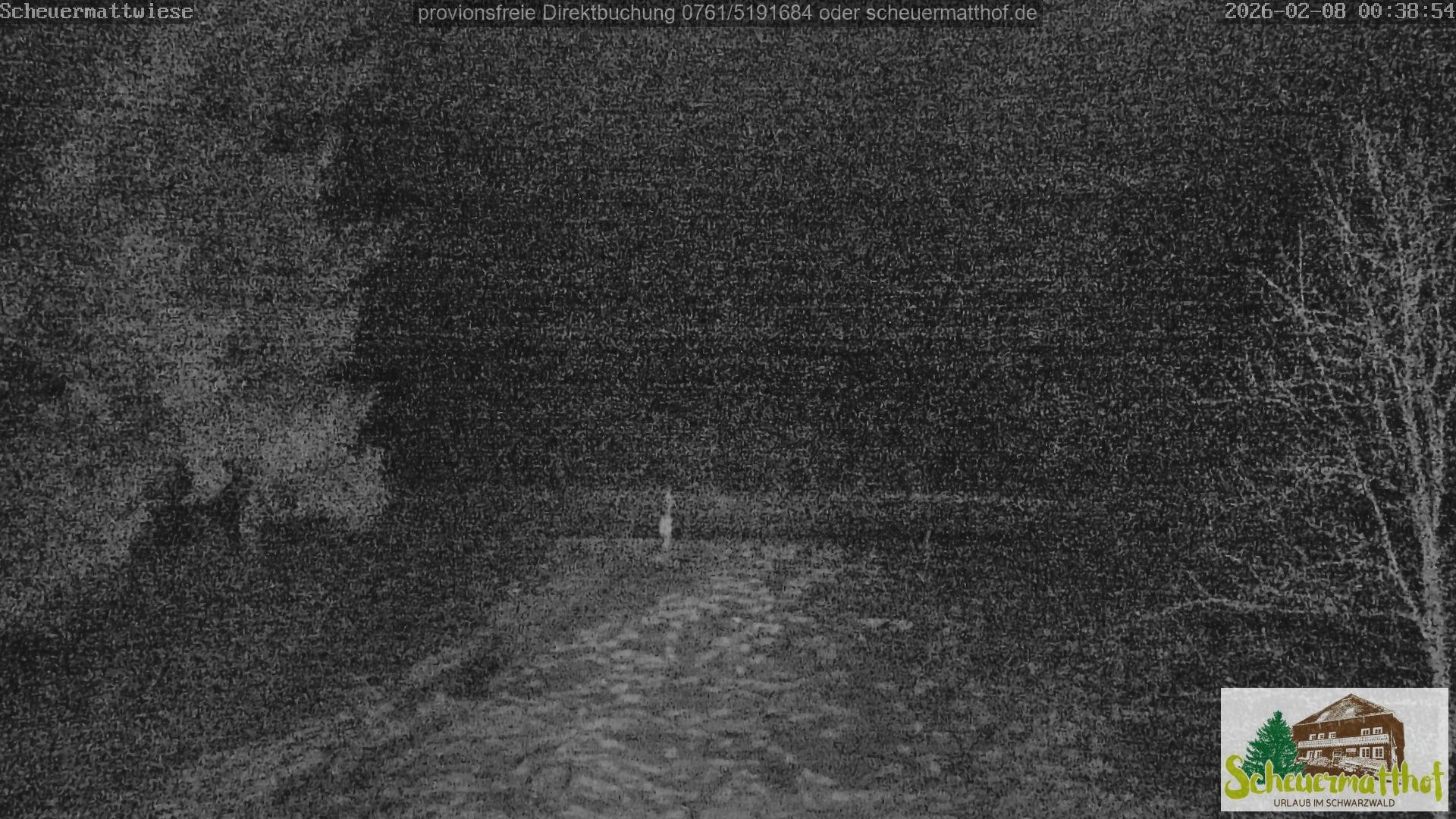 Archiv Foto Webcam Todtnauberg - Scheuermattwiese