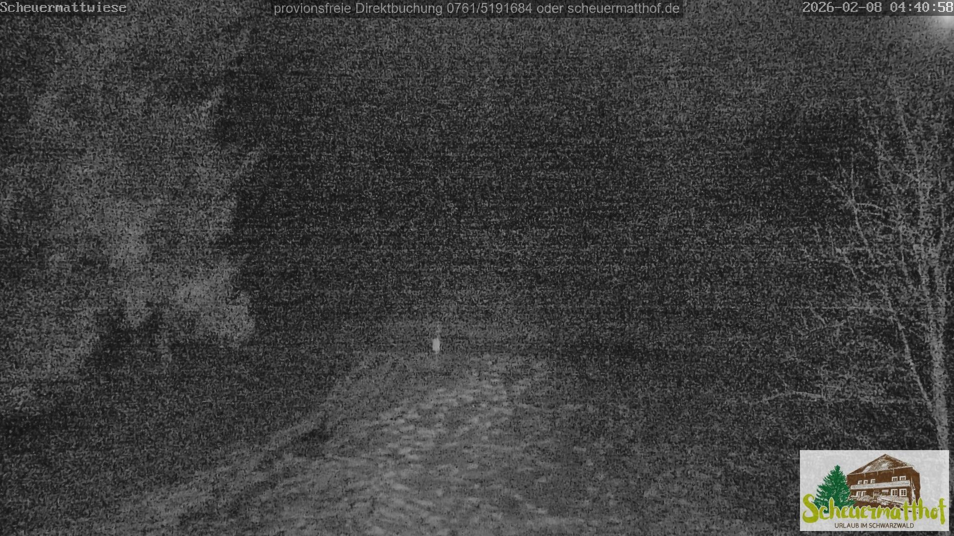 Archiv Foto Webcam Todtnauberg - Scheuermattwiese