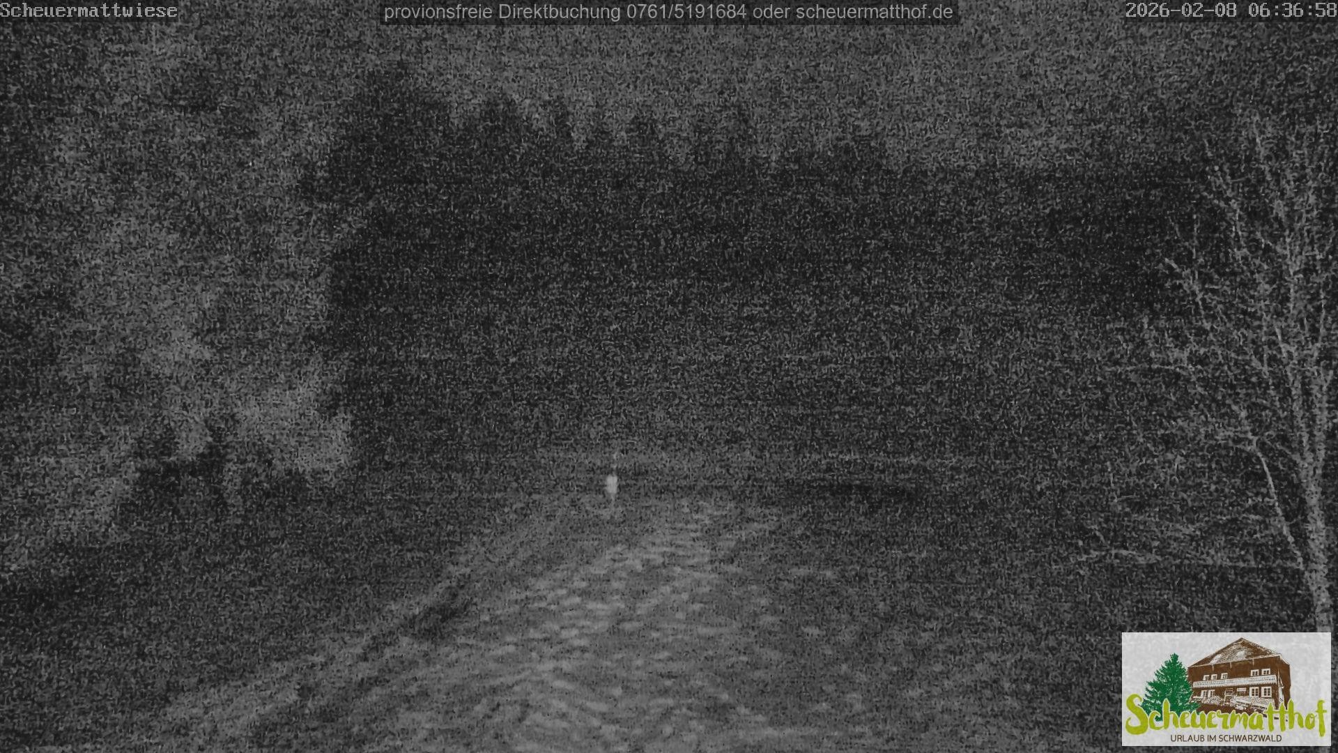 Archiv Foto Webcam Todtnauberg - Scheuermattwiese