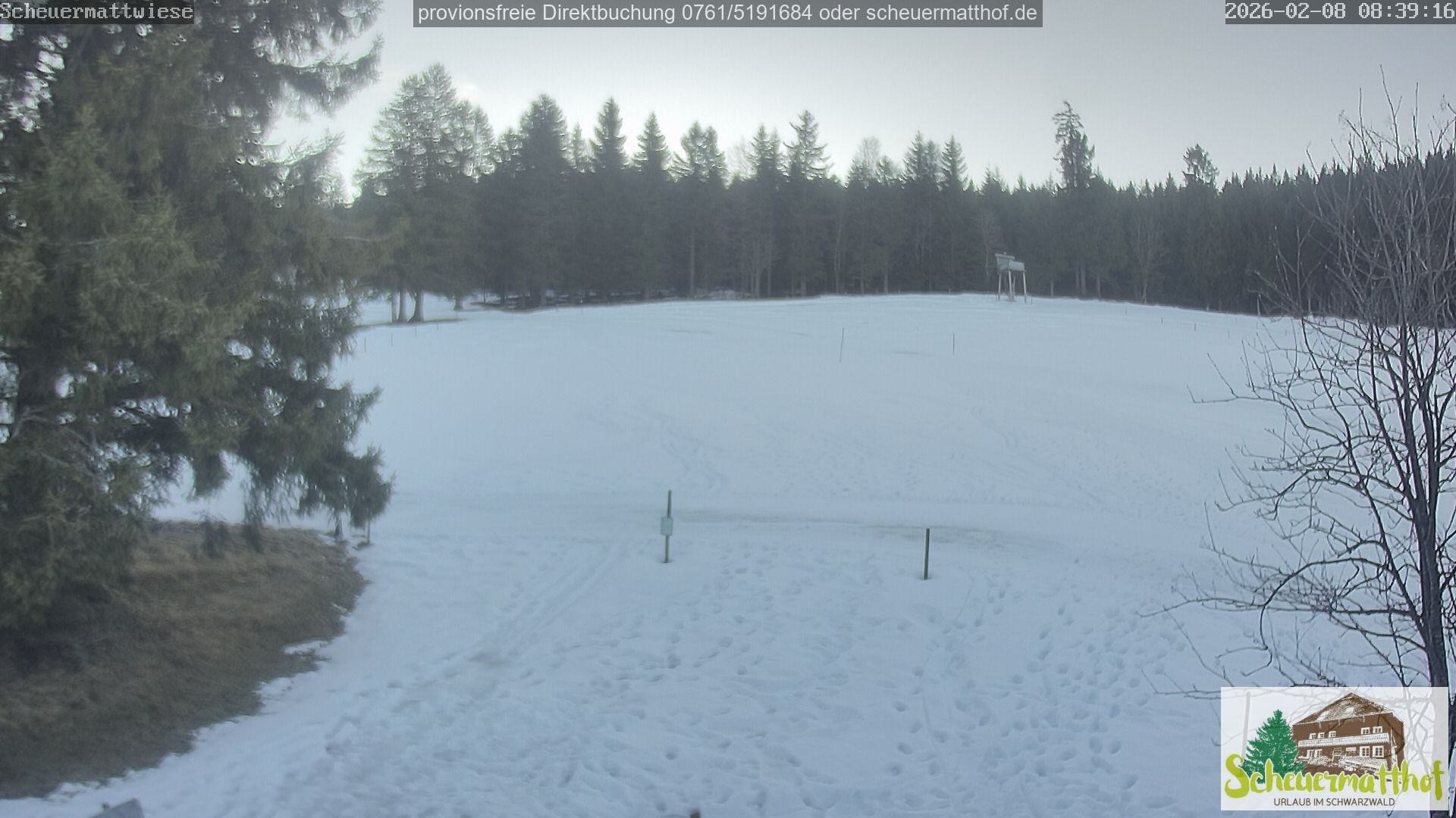 Archiv Foto Webcam Todtnauberg - Scheuermattwiese