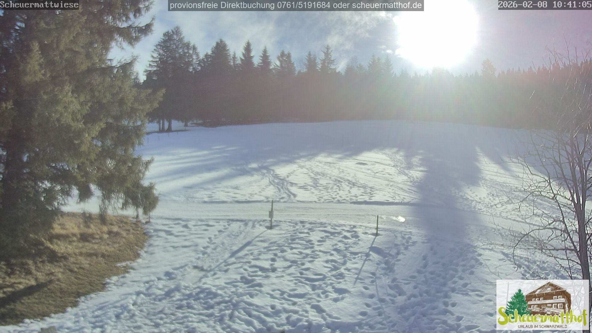 Archiv Foto Webcam Todtnauberg - Scheuermattwiese