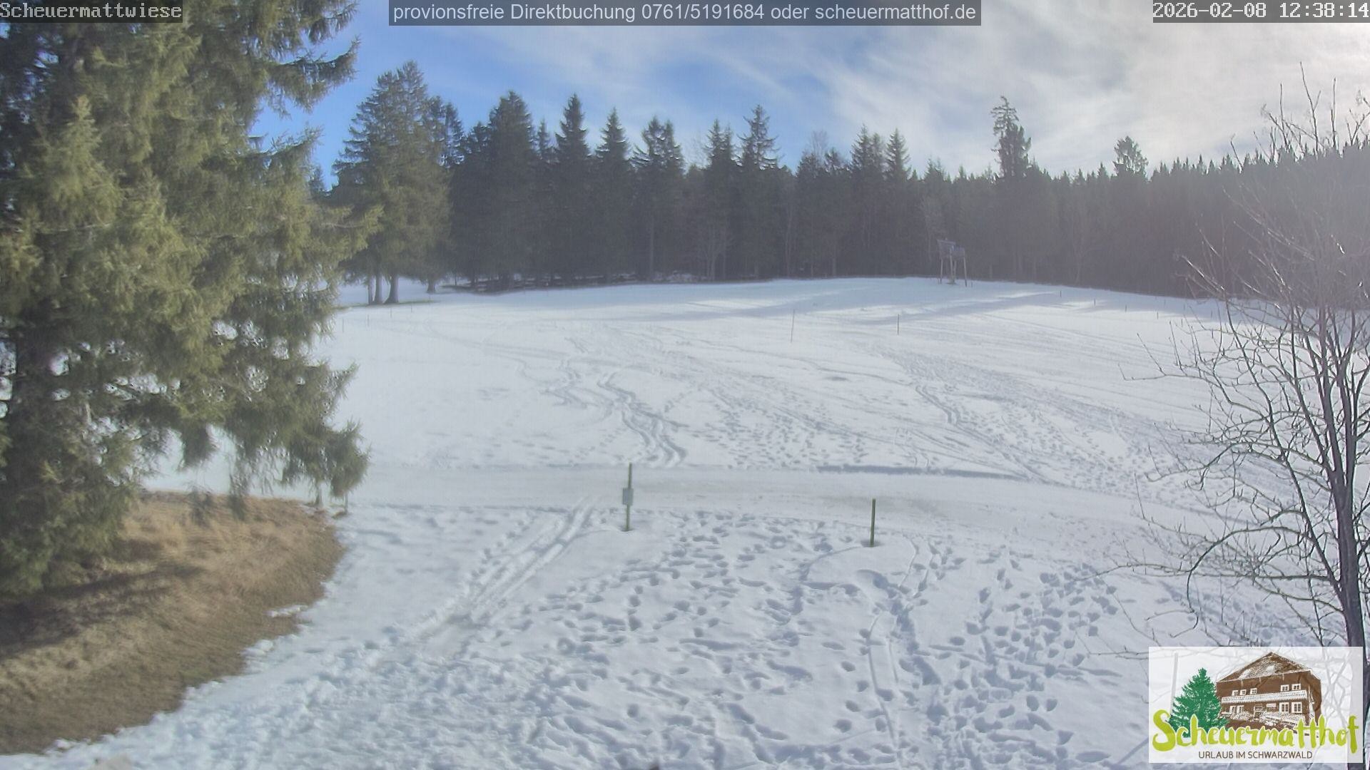 Archiv Foto Webcam Todtnauberg - Scheuermattwiese