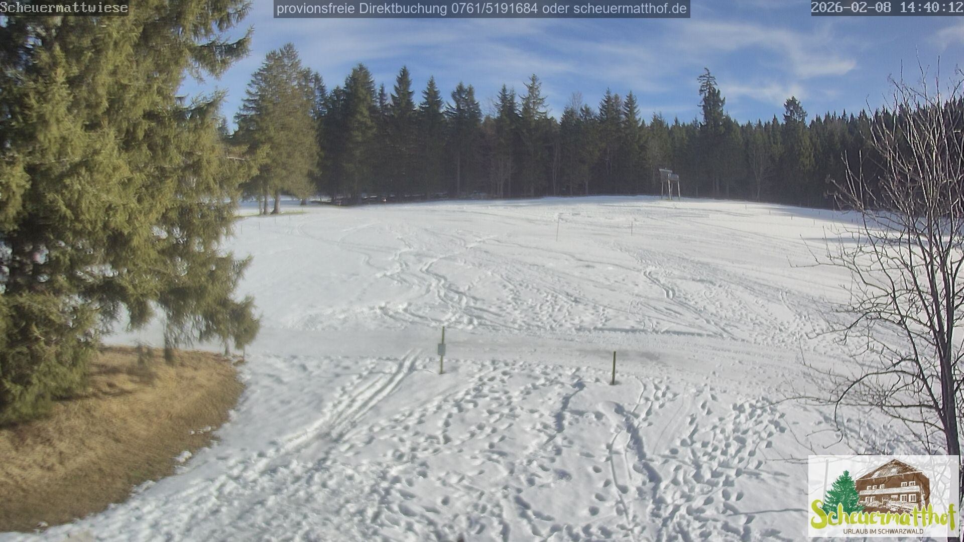 Archiv Foto Webcam Todtnauberg - Scheuermattwiese