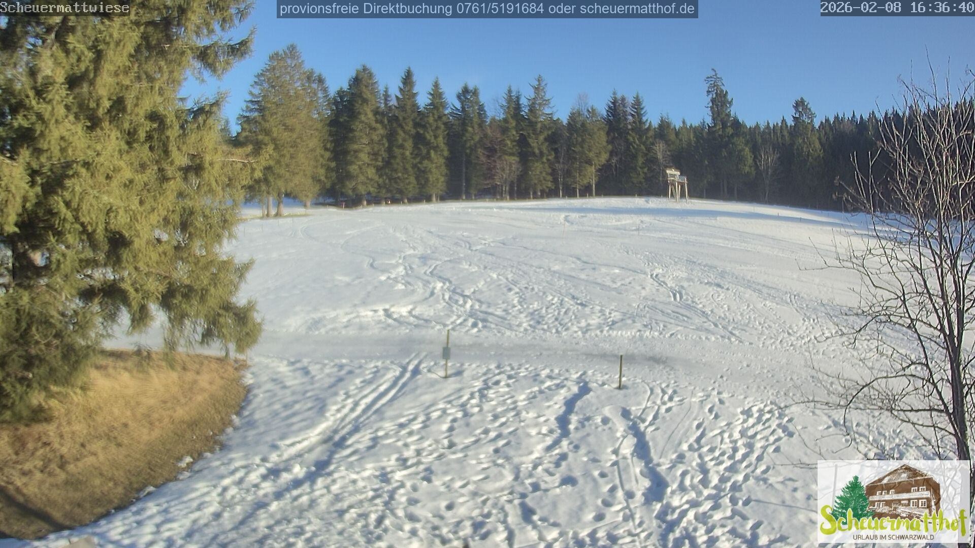 Archiv Foto Webcam Todtnauberg - Scheuermattwiese