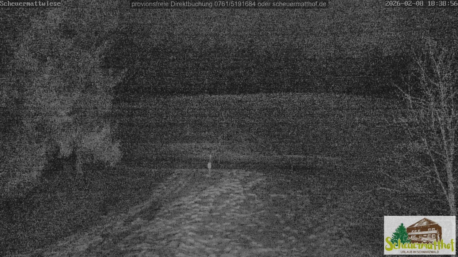 Archiv Foto Webcam Todtnauberg - Scheuermattwiese