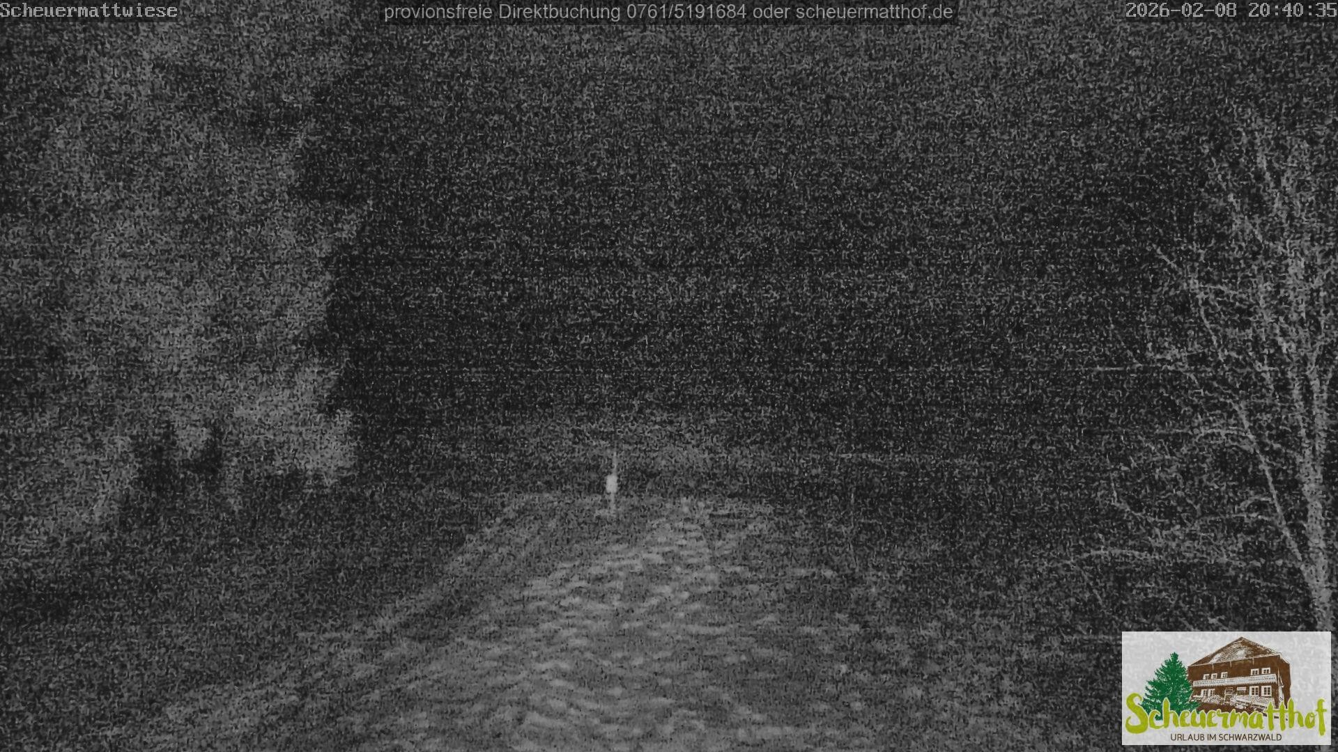 Archiv Foto Webcam Todtnauberg - Scheuermattwiese