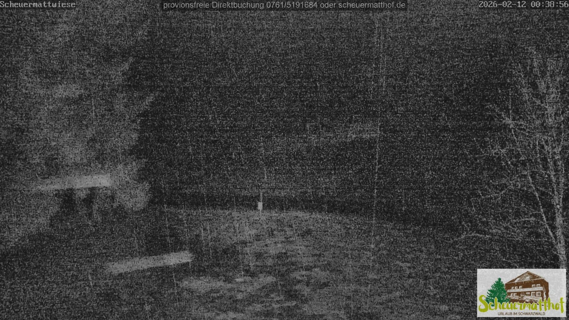 Archiv Foto Webcam Todtnauberg - Scheuermattwiese