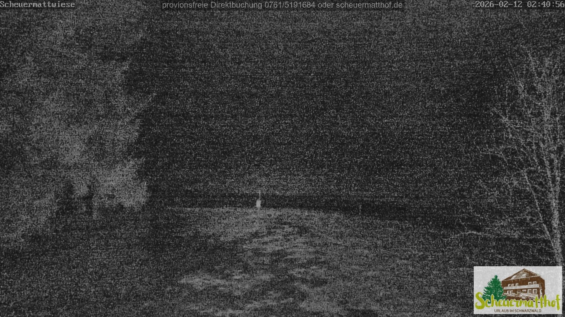 Archiv Foto Webcam Todtnauberg - Scheuermattwiese