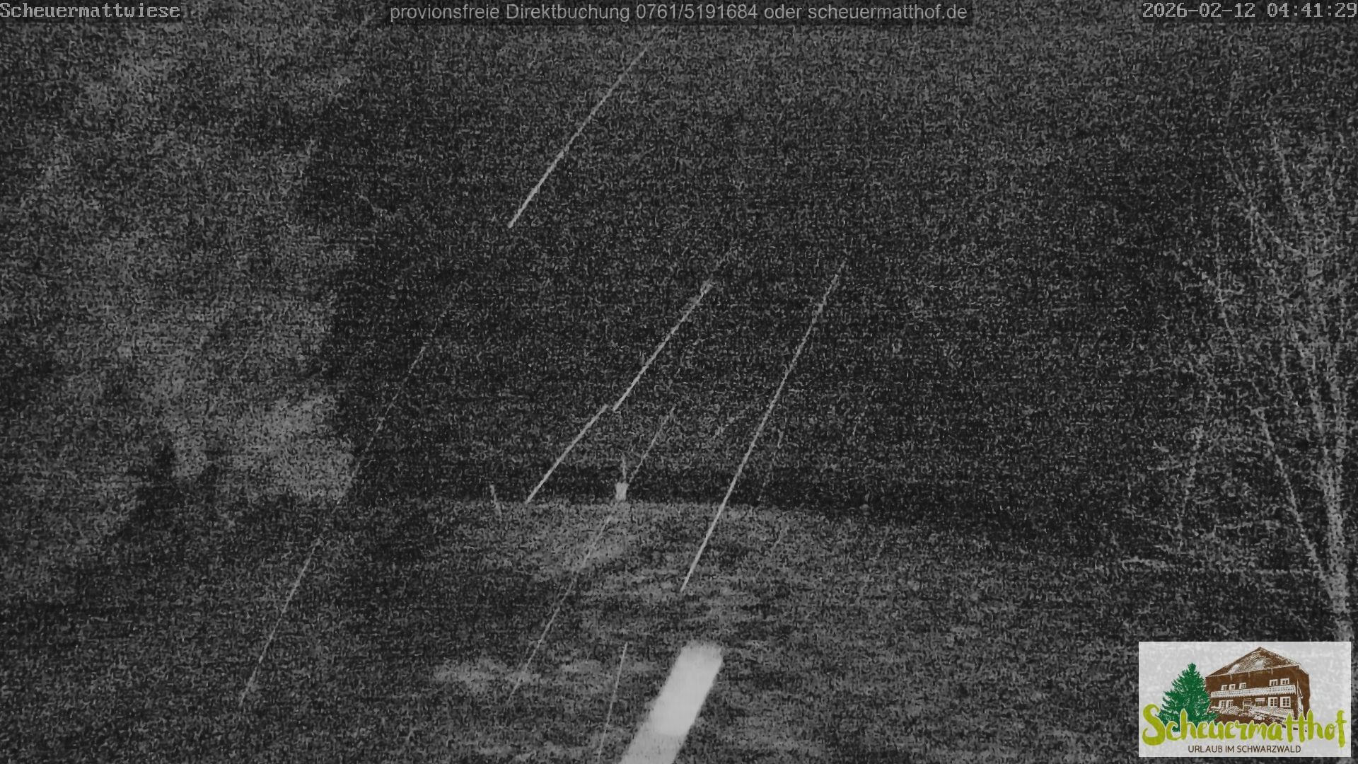 Archiv Foto Webcam Todtnauberg - Scheuermattwiese