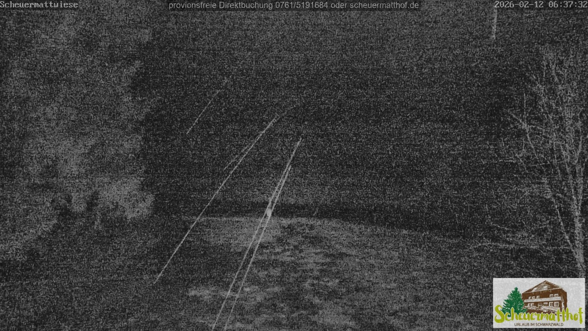 Archiv Foto Webcam Todtnauberg - Scheuermattwiese