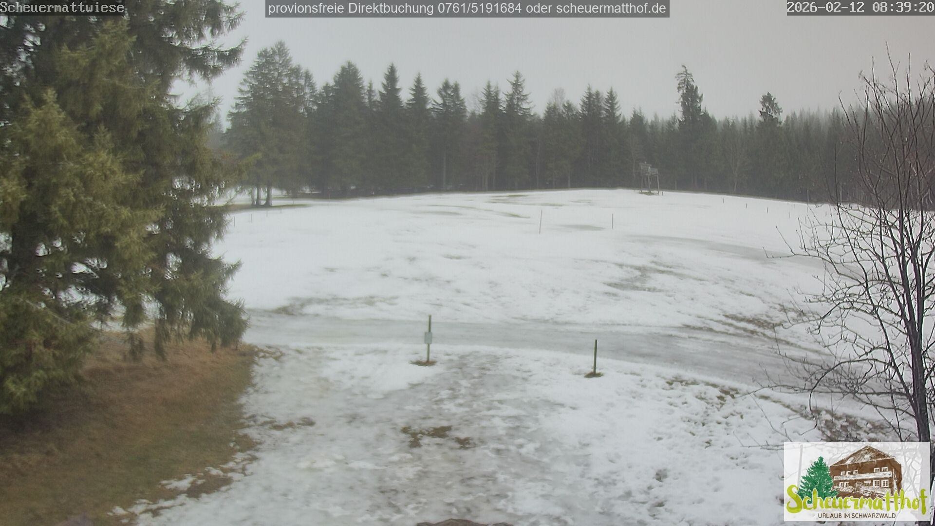 Archiv Foto Webcam Todtnauberg - Scheuermattwiese