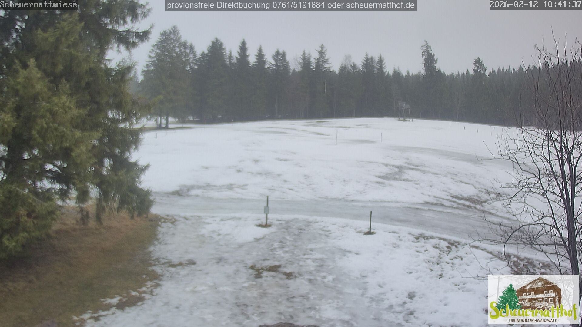 Archiv Foto Webcam Todtnauberg - Scheuermattwiese