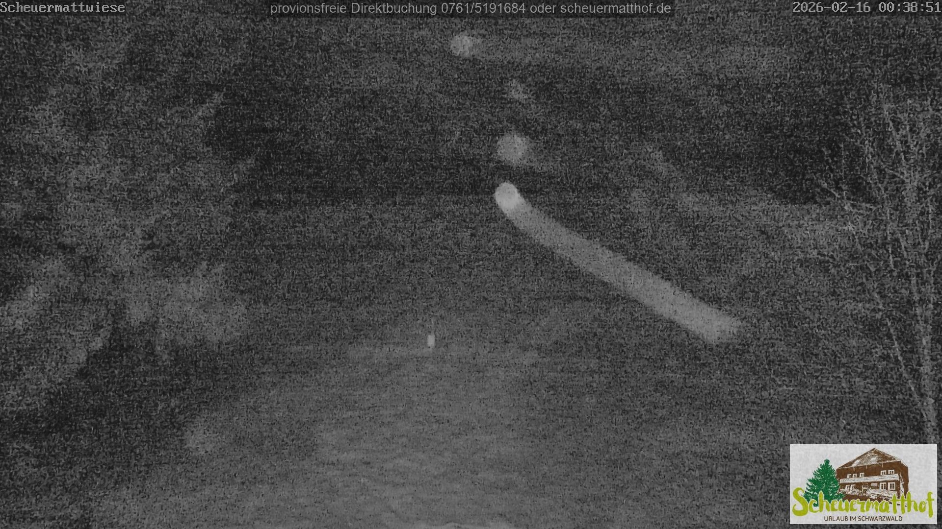 Archiv Foto Webcam Todtnauberg - Scheuermattwiese