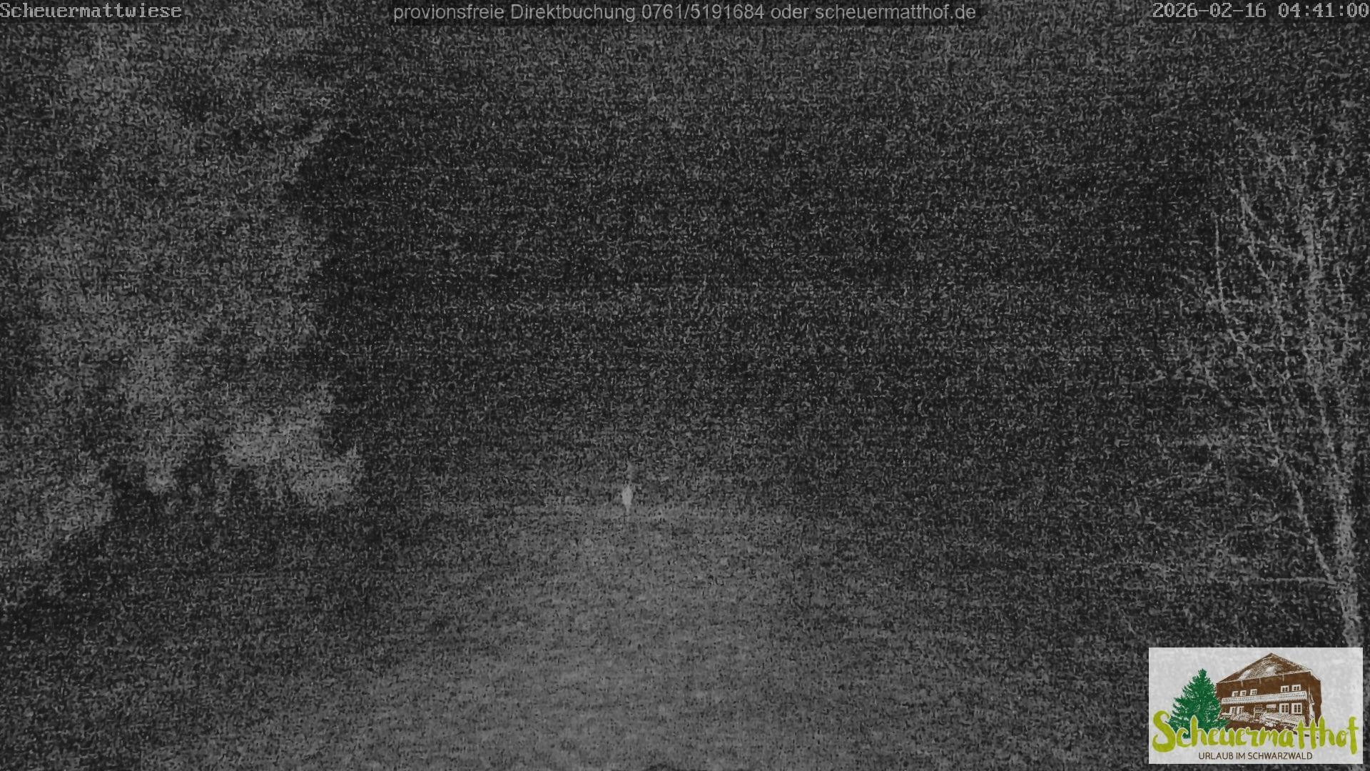 Archiv Foto Webcam Todtnauberg - Scheuermattwiese