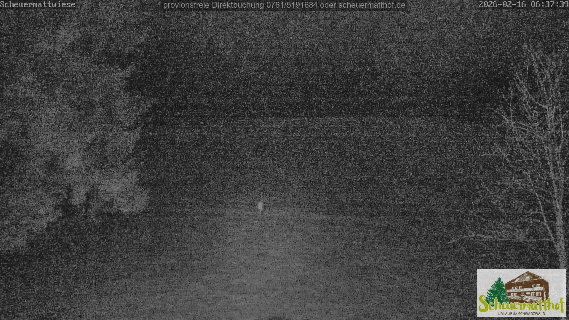 Archiv Foto Webcam Todtnauberg - Scheuermattwiese