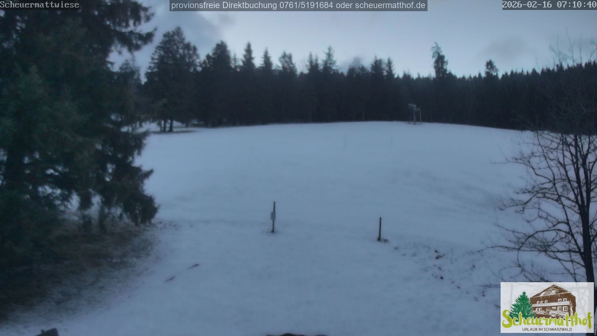 Archiv Foto Webcam Todtnauberg - Scheuermattwiese