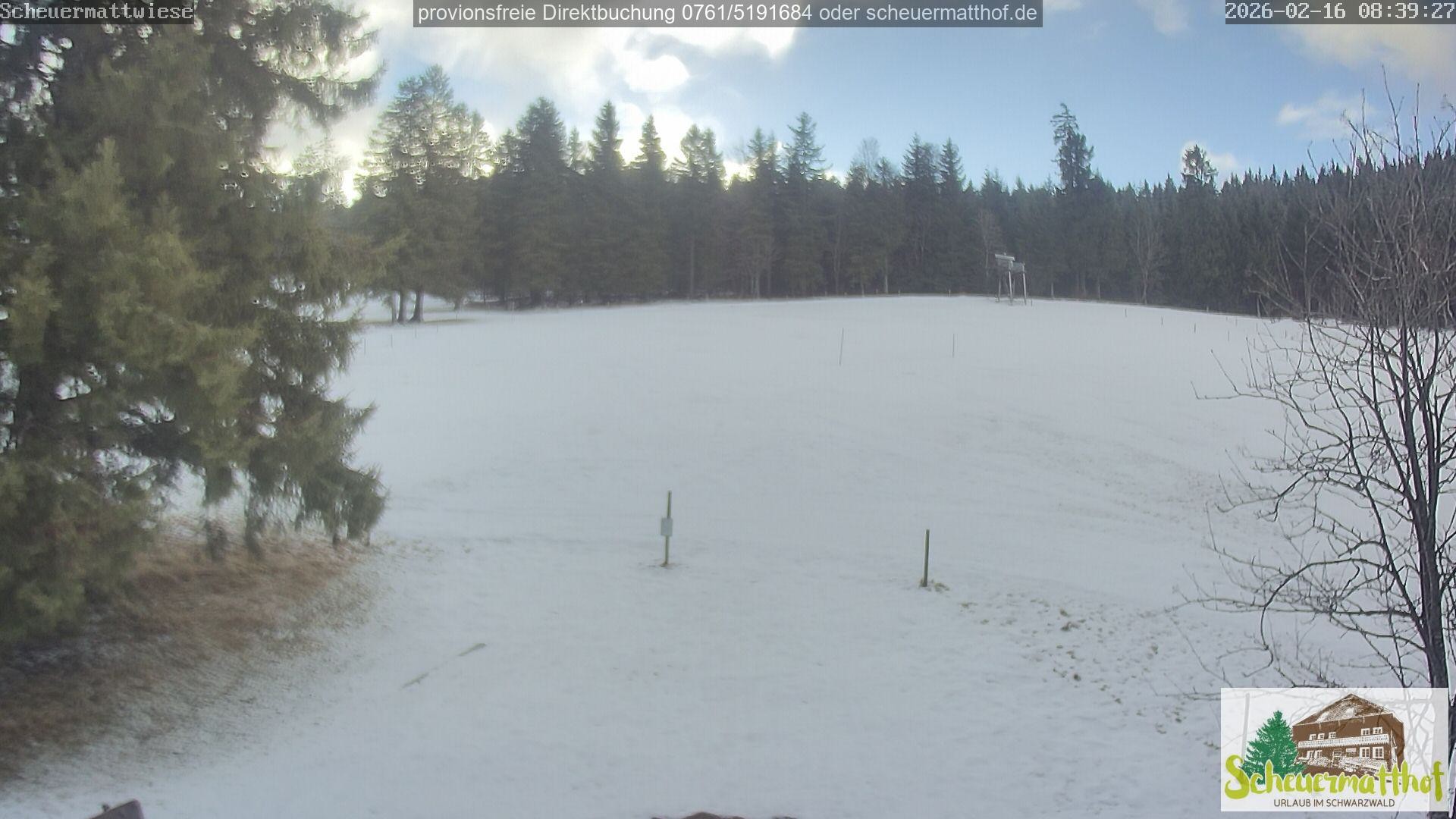 Archiv Foto Webcam Todtnauberg - Scheuermattwiese