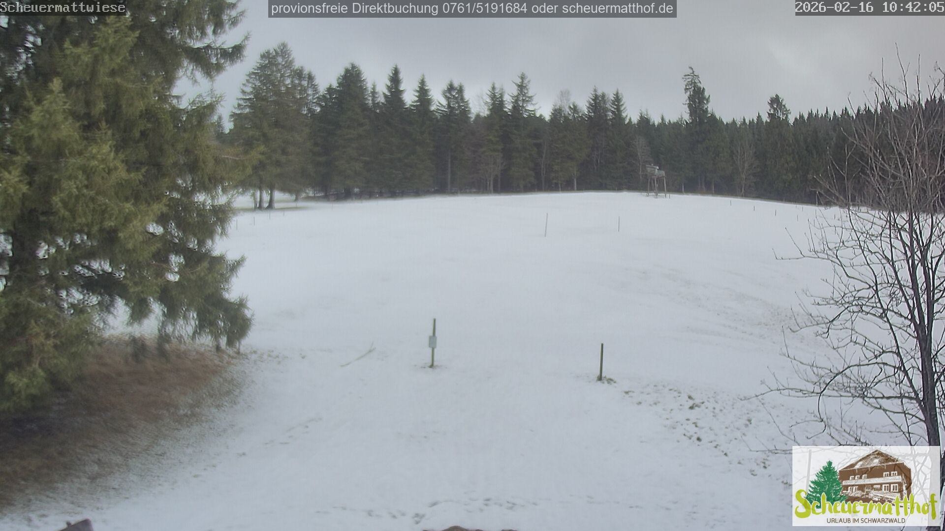 Archiv Foto Webcam Todtnauberg - Scheuermattwiese