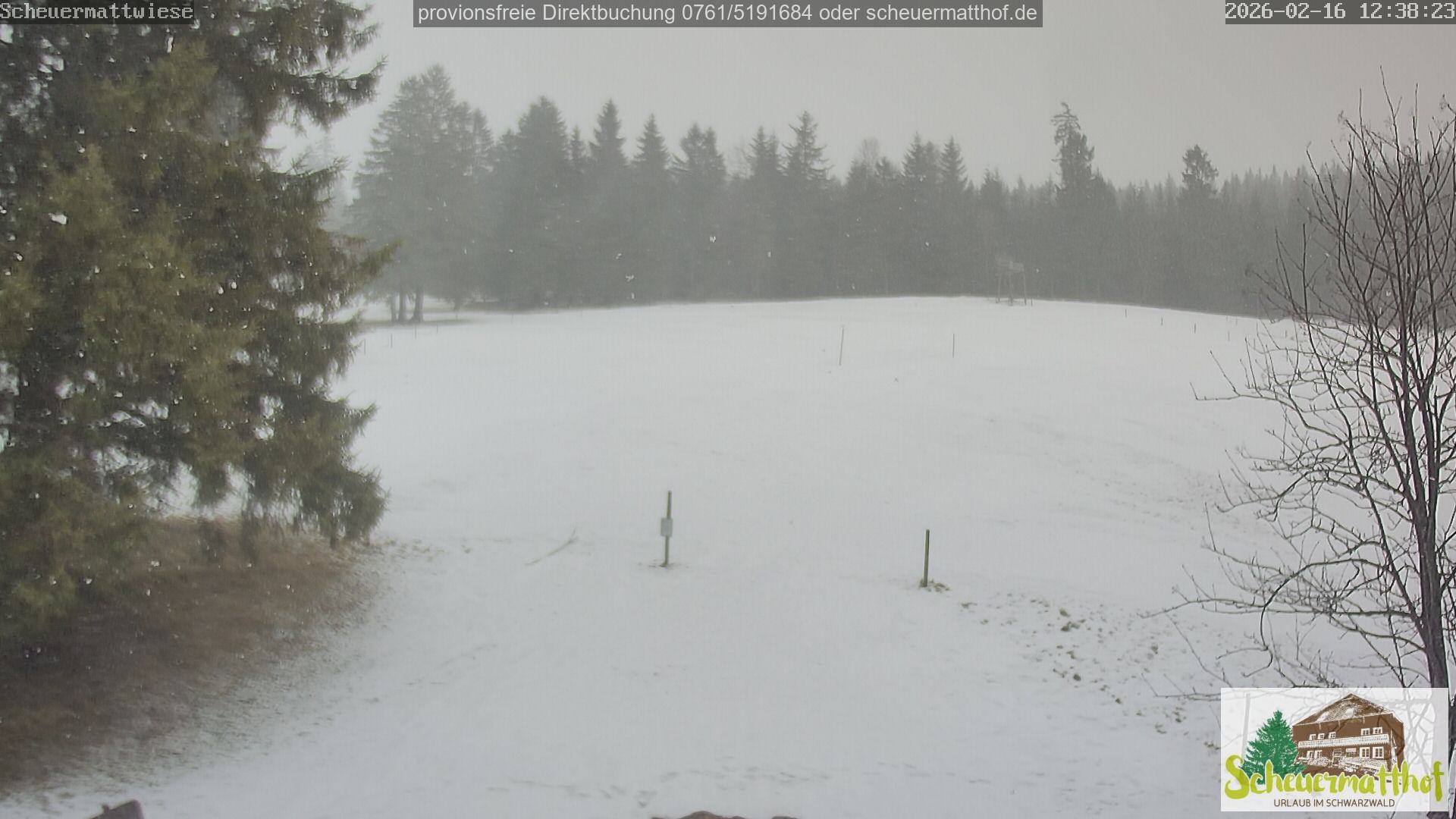 Archiv Foto Webcam Todtnauberg - Scheuermattwiese