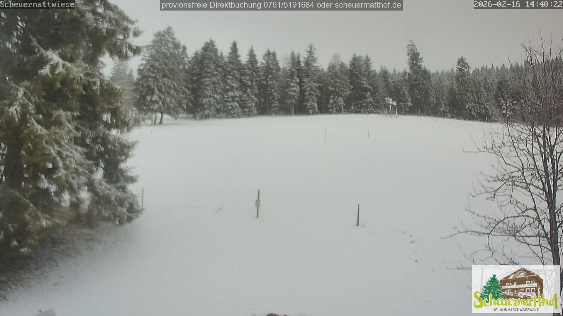 Archiv Foto Webcam Todtnauberg - Scheuermattwiese