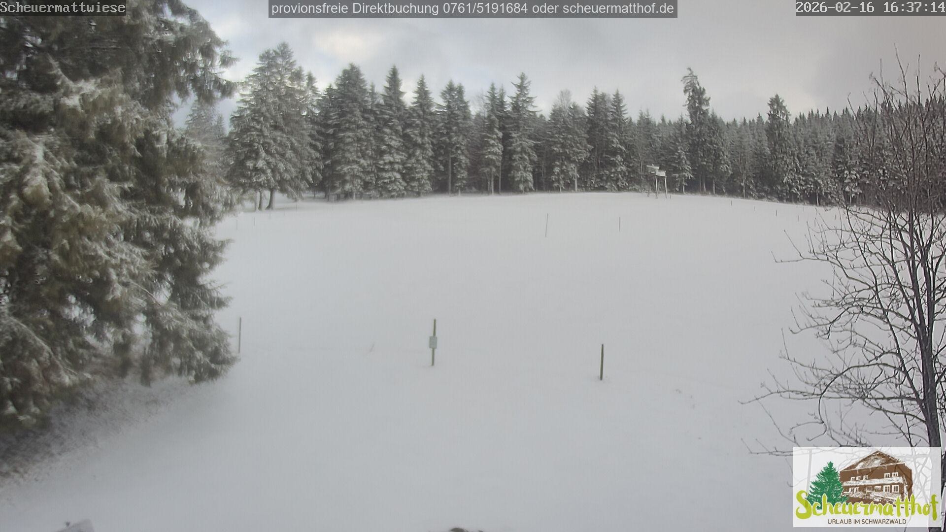 Archiv Foto Webcam Todtnauberg - Scheuermattwiese