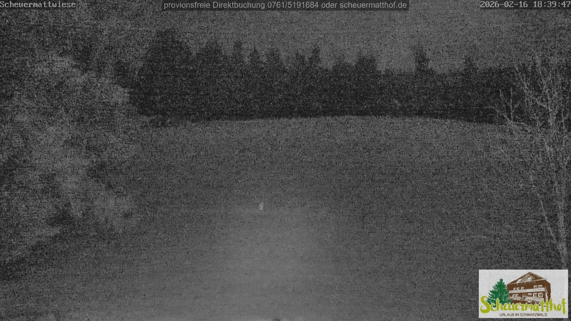 Archiv Foto Webcam Todtnauberg - Scheuermattwiese