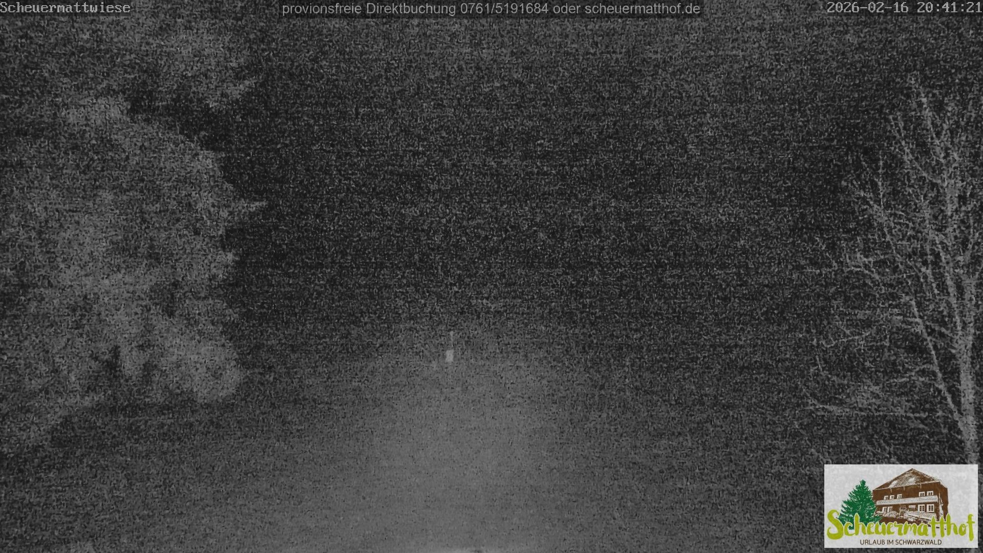 Archived image Webcam Todtnauberg - Scheuermatthof