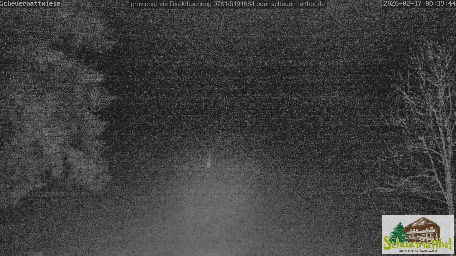 Archiv Foto Webcam Todtnauberg - Scheuermattwiese