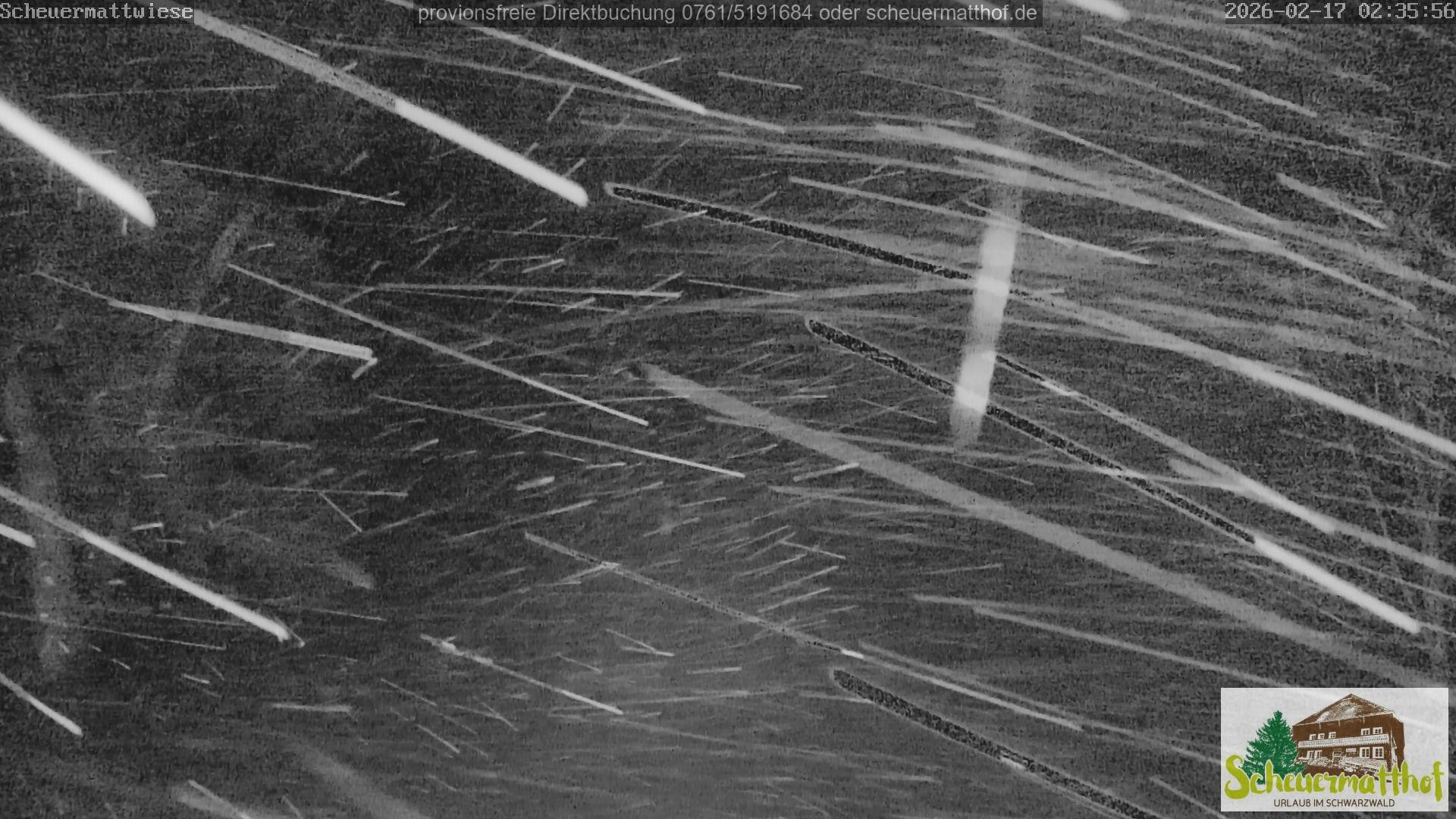 Archiv Foto Webcam Todtnauberg - Scheuermattwiese