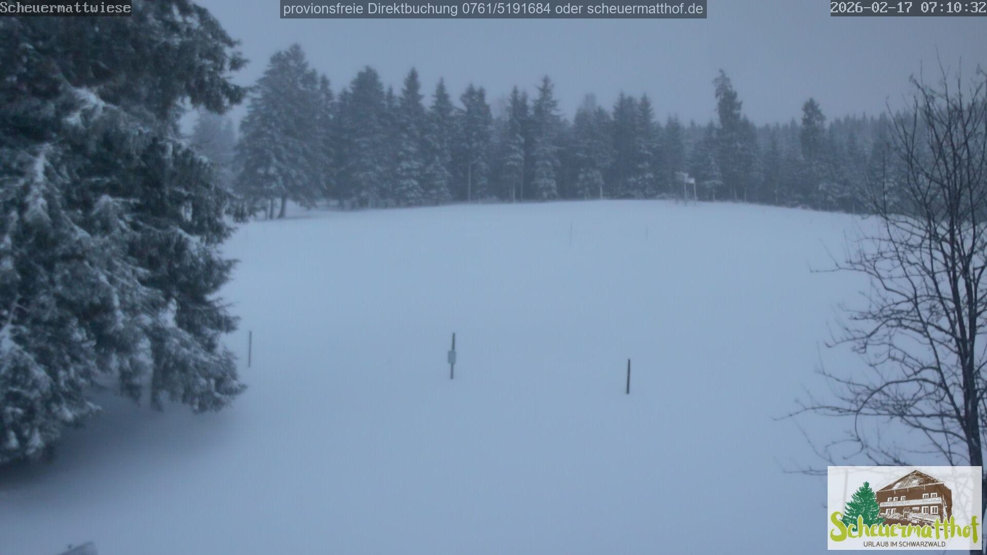 Archiv Foto Webcam Todtnauberg - Scheuermattwiese