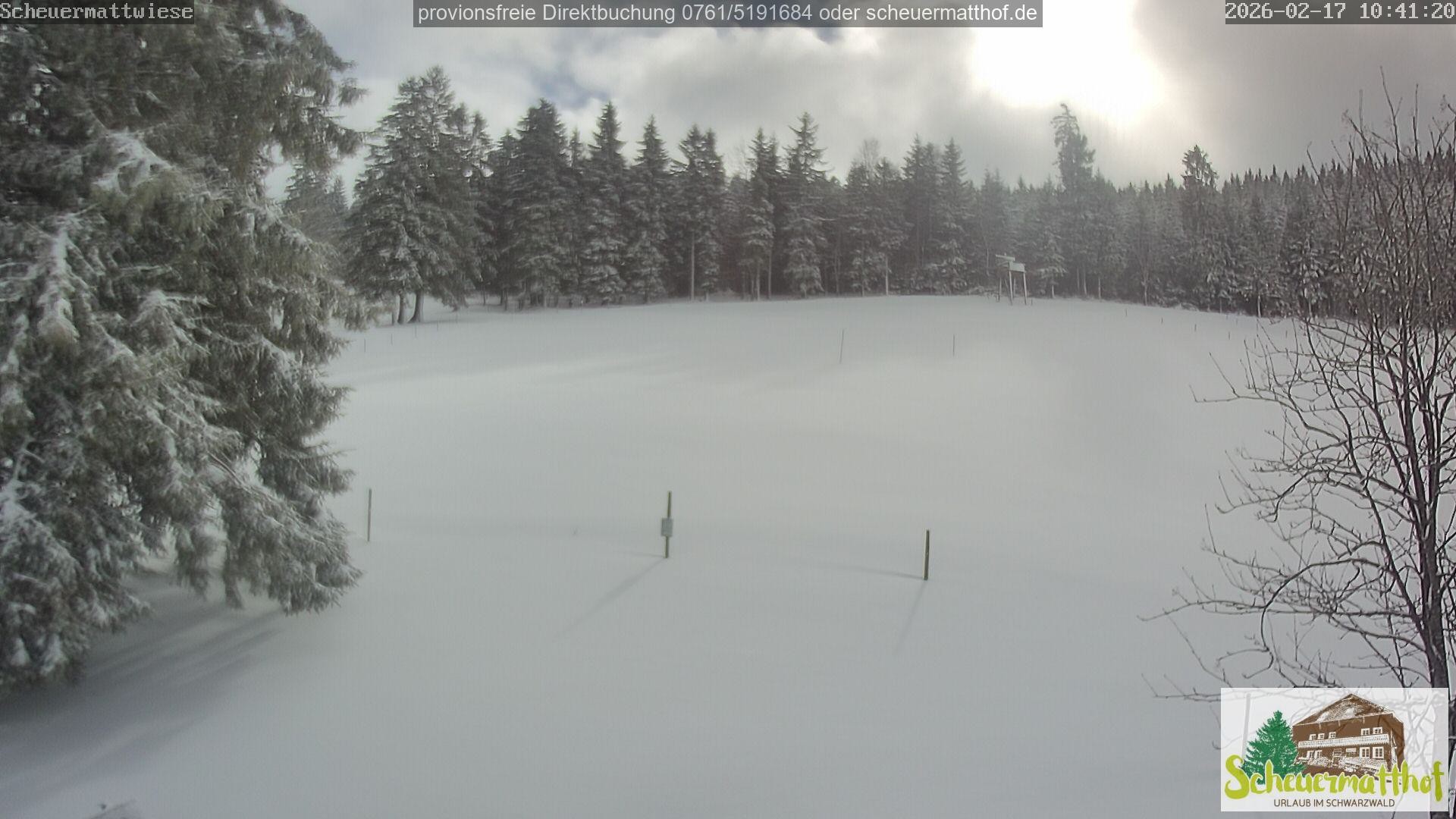 Archiv Foto Webcam Todtnauberg - Scheuermattwiese