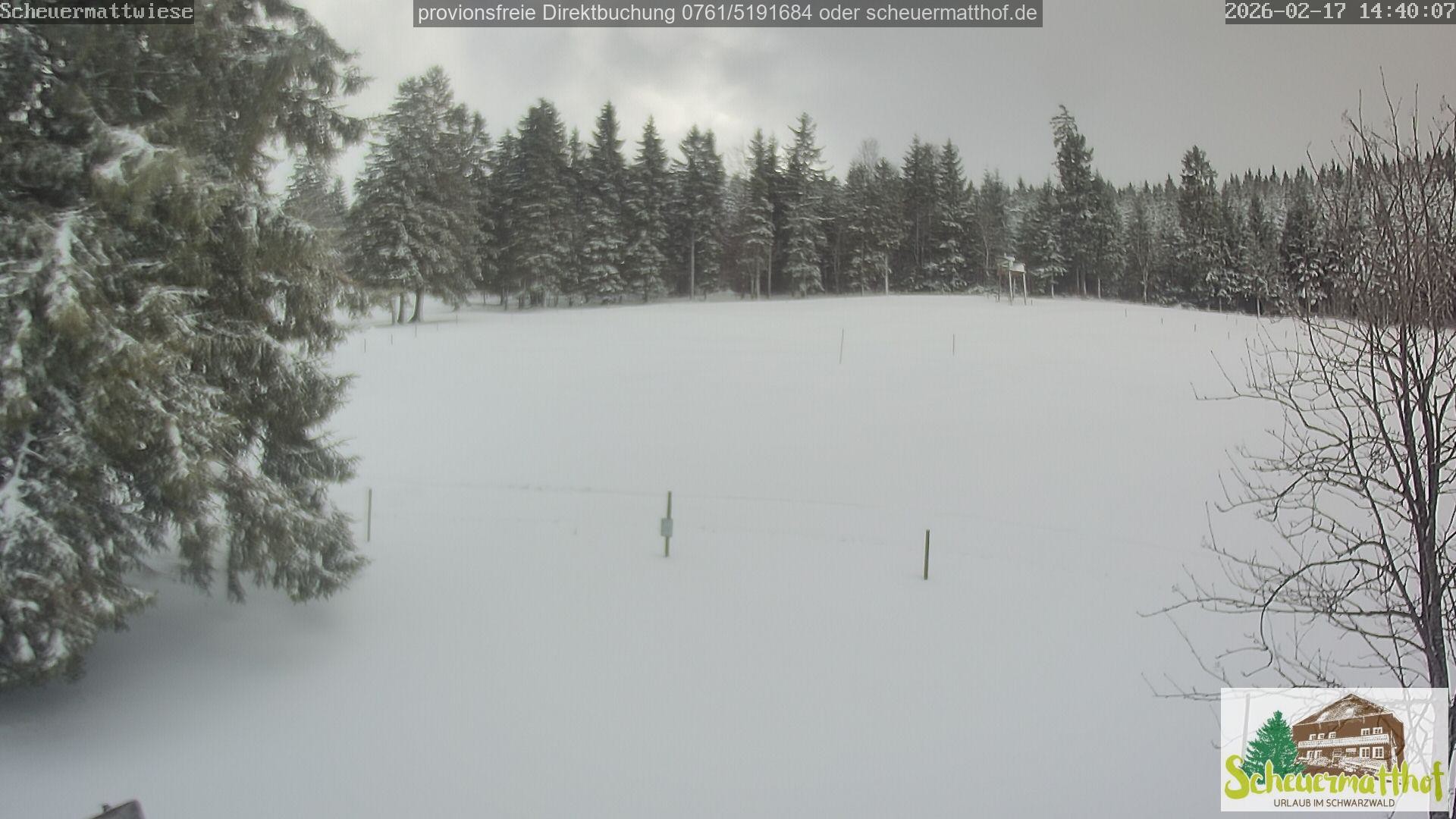 Archiv Foto Webcam Todtnauberg - Scheuermattwiese