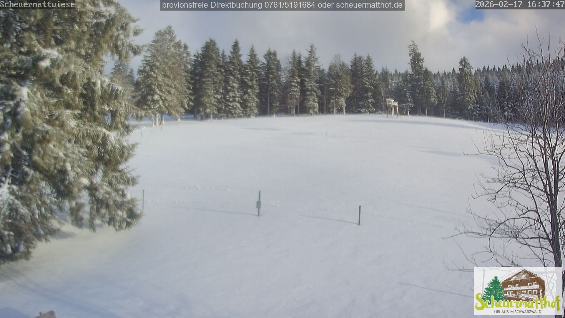 Archiv Foto Webcam Todtnauberg - Scheuermattwiese