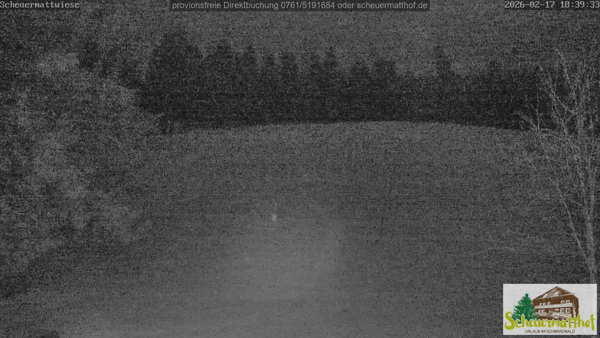 Archiv Foto Webcam Todtnauberg - Scheuermattwiese