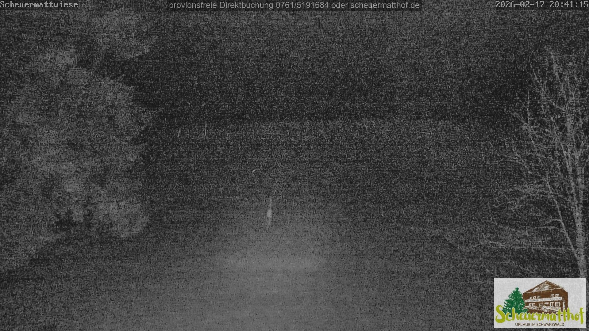 Archiv Foto Webcam Todtnauberg - Scheuermattwiese