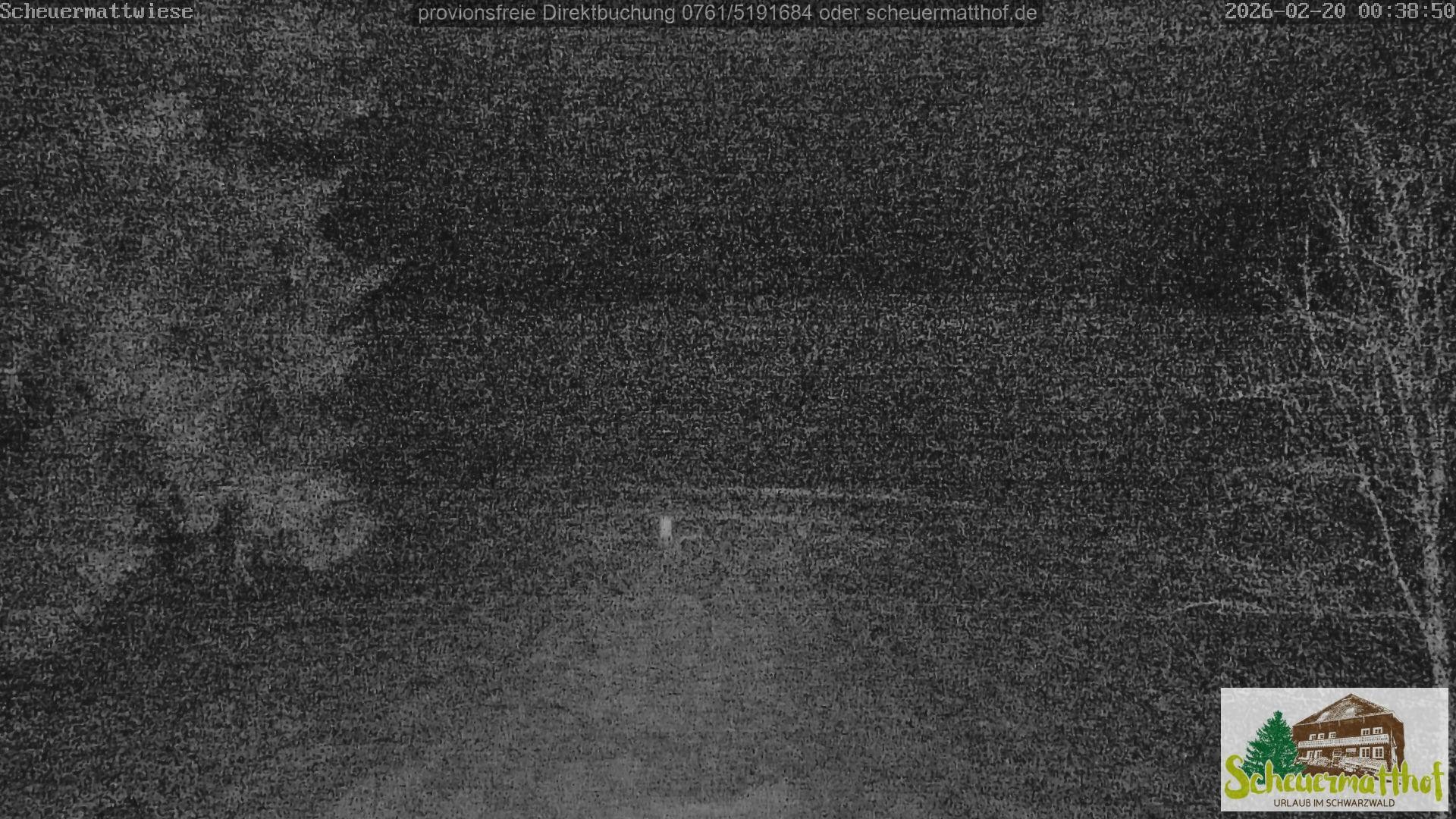 Archiv Foto Webcam Todtnauberg - Scheuermattwiese