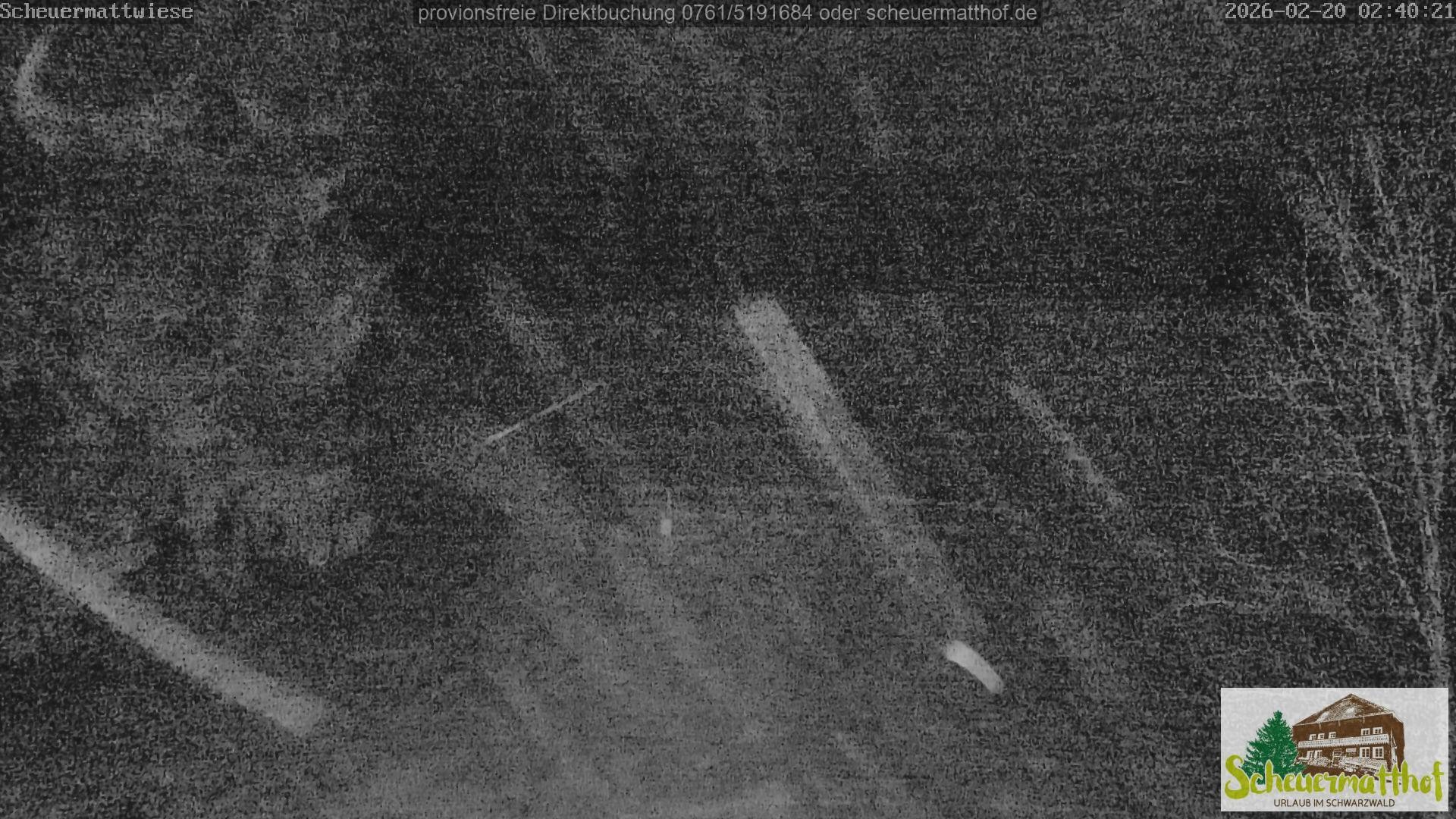 Archiv Foto Webcam Todtnauberg - Scheuermattwiese