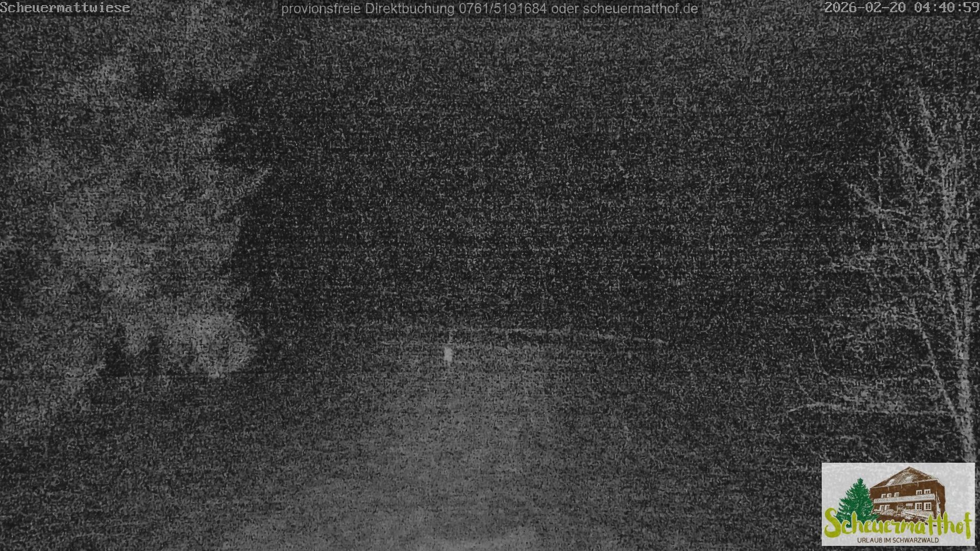 Archiv Foto Webcam Todtnauberg - Scheuermattwiese